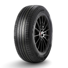DoubleStar DSS02 235/55 R17 103V  купить
