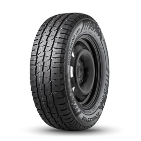 DoubleStar DW06 195/75 R16 107/105R  купить
