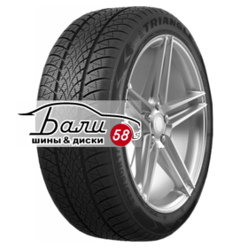 Triangle WinterX TW401 195/55 R16 91H XL TL купить